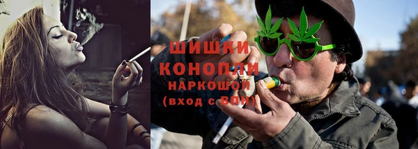 Альфа ПВП Инсар