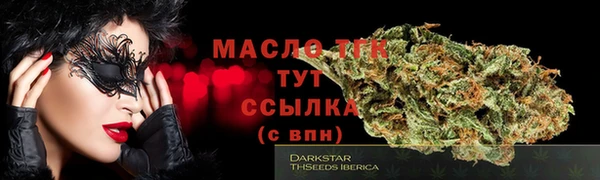 Альфа ПВП Инсар